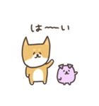 柴犬と紫犬(毎日使えるヨ)（個別スタンプ：28）