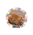 日常生活(英語)（個別スタンプ：2）