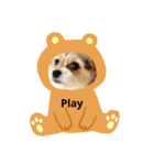 日常生活(英語)（個別スタンプ：3）