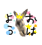 うさほん（個別スタンプ：1）