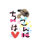 うさほん（個別スタンプ：2）