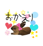 うさほん（個別スタンプ：3）
