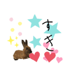 うさほん（個別スタンプ：6）