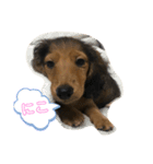 にこわん（個別スタンプ：8）