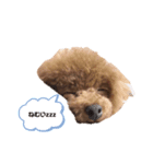 ティナ。（個別スタンプ：1）