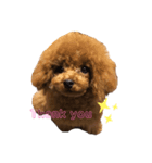 ティナ。（個別スタンプ：3）