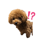 ティナ。（個別スタンプ：4）