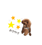ティナ。（個別スタンプ：6）