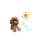 ティナ。（個別スタンプ：8）