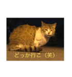 港猫ちゃん（個別スタンプ：2）