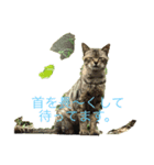 港猫ちゃん（個別スタンプ：8）