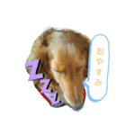 淳のスタンプ（個別スタンプ：2）