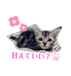めいちゃん♥スタンプ（個別スタンプ：3）