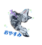 めいちゃん♥スタンプ（個別スタンプ：4）