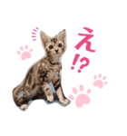 めいちゃん♥スタンプ（個別スタンプ：5）