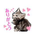 めいちゃん♥スタンプ（個別スタンプ：7）