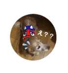 なーなちゃん（個別スタンプ：4）