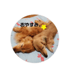 なーなちゃん（個別スタンプ：6）