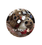 なーなちゃん（個別スタンプ：7）