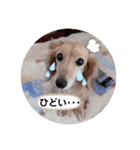 なーなちゃん（個別スタンプ：8）