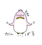 ぴんくのぺんぎん。（個別スタンプ：6）