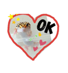 レオパ時々ねこ（個別スタンプ：2）