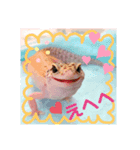 レオパ時々ねこ（個別スタンプ：5）