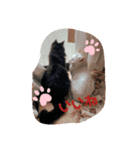レオパ時々ねこ（個別スタンプ：7）