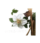 いつもありがとうのみ（個別スタンプ：3）