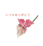 いつもありがとうのみ（個別スタンプ：9）