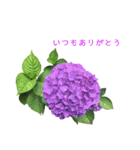いつもありがとうのみ（個別スタンプ：12）