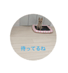 どこでもモモピコ2（個別スタンプ：5）