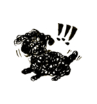 もっちり黒プー2（個別スタンプ：1）