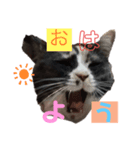 ぱーちゃんの1日（個別スタンプ：1）
