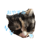 ぱーちゃんの1日（個別スタンプ：2）