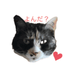ぱーちゃんの1日（個別スタンプ：3）