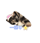 ぱーちゃんの1日（個別スタンプ：6）