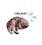 ＊れいちゃん＊（個別スタンプ：4）