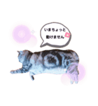 ＊れいちゃん＊（個別スタンプ：5）