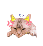 ＊れいちゃん＊（個別スタンプ：6）