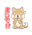 ポトロ 日常ことば（個別スタンプ：34）