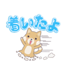 ポトロ 日常ことば（個別スタンプ：38）