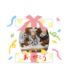 小太郎とむぎ（個別スタンプ：4）