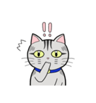 サバトラ猫と話そう（個別スタンプ：3）