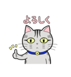 サバトラ猫と話そう（個別スタンプ：5）