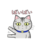 サバトラ猫と話そう（個別スタンプ：6）