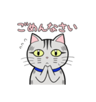 サバトラ猫と話そう（個別スタンプ：7）