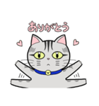 サバトラ猫と話そう（個別スタンプ：9）