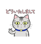サバトラ猫と話そう（個別スタンプ：10）