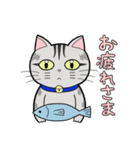 サバトラ猫と話そう（個別スタンプ：12）